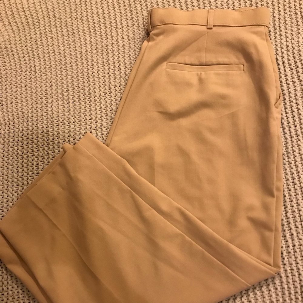 Counterparts beige dress capris